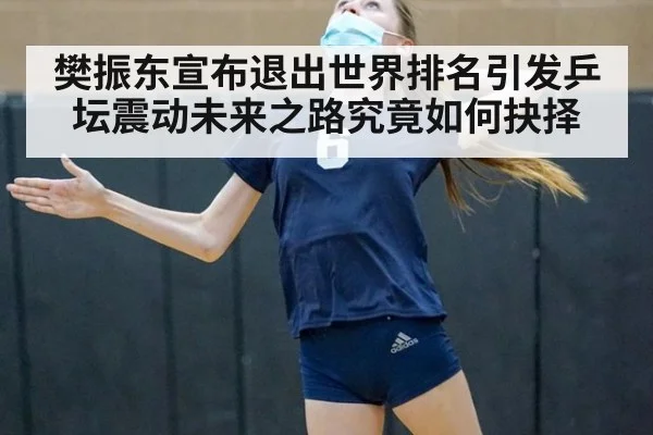 樊振东宣布退出世界排名引发乒坛震动未来之路究竟如何抉择