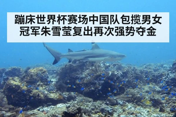 蹦床世界杯赛场中国队包揽男女冠军朱雪莹复出再次强势夺金