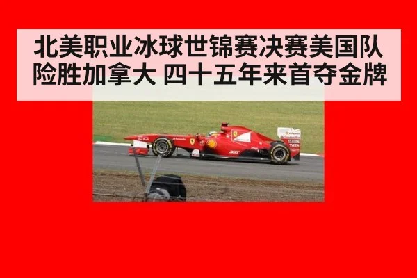 北美职业冰球世锦赛决赛美国队险胜加拿大 四十五年来首夺金牌